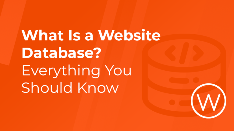 What Is a Website Database_ Everything You Should Know_